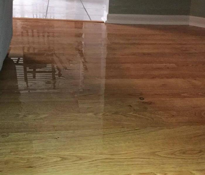 Standing water on the living room floor.