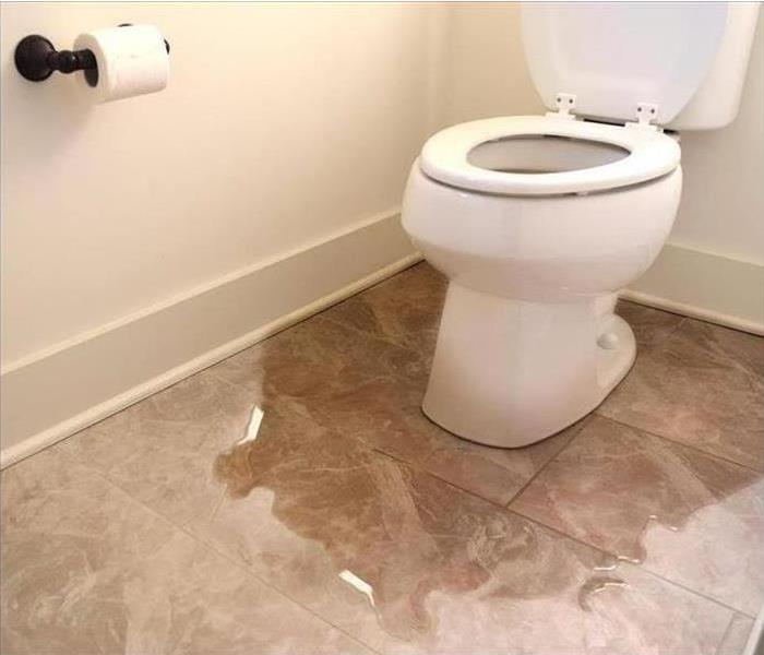 toilet overflow