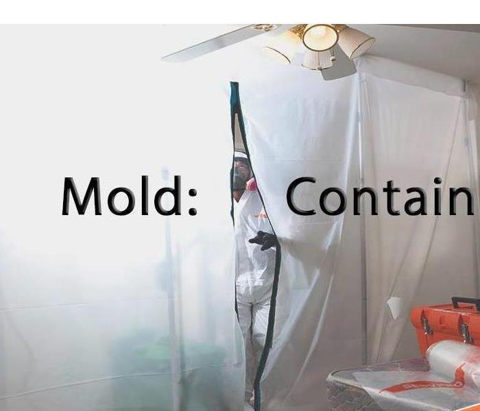 Mold contaminent 