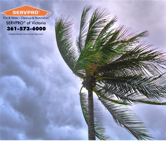 SERVPRO of Victoria logo in corner and palm tree
